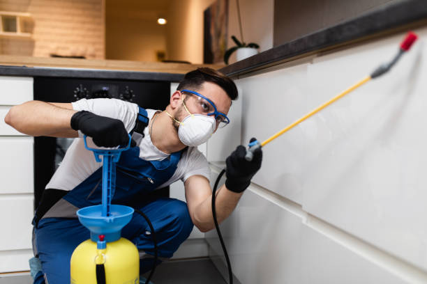 Best Rat Extermination Near Me  in Hope, IN