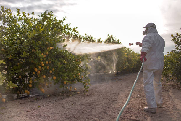 Best Commercial Pest Control Services  in Hope, IN