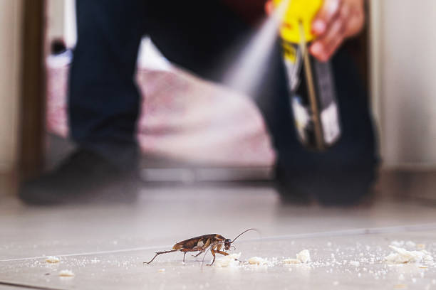 Best Pest Removal Services  in Hope, IN