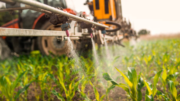 Insect Control in Hope, IN