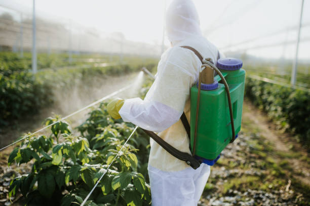 Best Pest Control Near Me  in Hope, IN